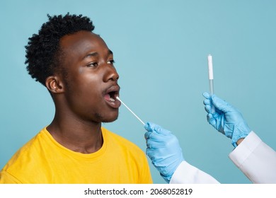 Doctor Holding Swab Making Oral PCR Coronavirus Test For Black Guy, Young African American Male Patient Undergoing Covid Diagnostic Procedure, Standing Over Blue Studio Background, Copy Space