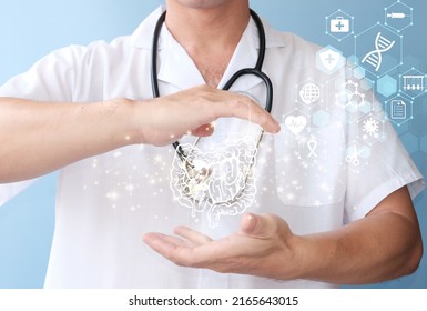 Doctor Holding A Virtual Intestine In His Hand. Human Organ Drawn By Hand, Healthcare Hospital Service Concept, Holographic Bowel Scan Projection With Vital Signs.