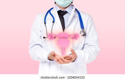 doctor holding virtual uterus or womb human organ , healthcare hospital service concept - Shutterstock ID 2204054133