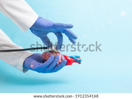 The doctor holds a dummy heart of a man in his hand and listens to it with a stethoscope on a blue background. Concept of treatment and care for heart disease in cardiology. Modern surgical operations