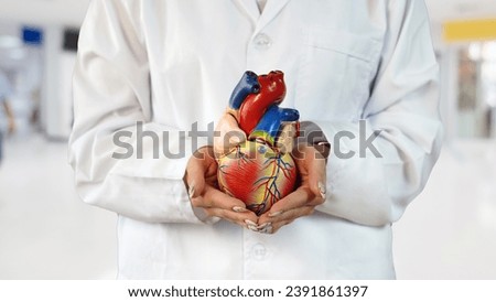 Doctor holds heart replica in his hands        Stock foto © 