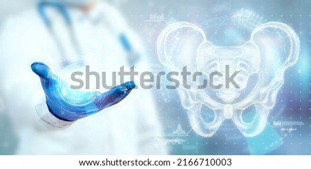 Doctor and Hologram, anterior ultrasound image of the male pelvis, sacrum isolated on a blue background. Anatomy, medicine, scientific concepts