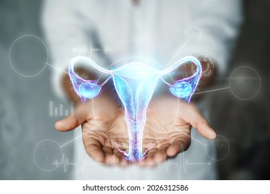 Doctor and hologram of the female organ of the uterus. Medical examination, women's consultation, ultrasound, gynecology, obstetrics, pregnancy, modern medicine