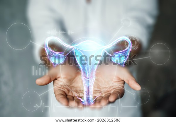 Doctor and\
hologram of the female organ of the uterus. Medical examination,\
women\'s consultation, ultrasound, gynecology, obstetrics,\
pregnancy, modern\
medicine