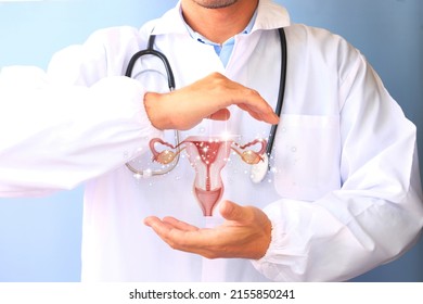 Doctor And Hologram Of The Female Uterine Organ. Gynecology, Obstetrics, Pregnancy, Modern Medicine, Medical Examination, Women's Consultation, Ultrasound