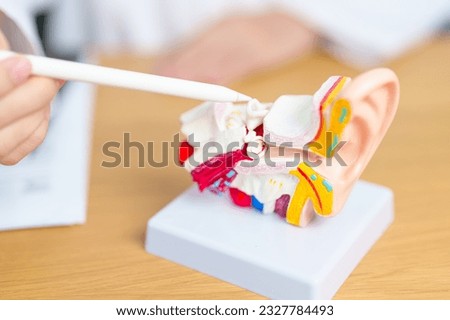 Doctor with human Ear anatomy model. Ear disease, Atresia, Otitis Media, Pertorated Eardrum, Meniere syndrome, otolaryngologist, Ageing Hearing Loss, Schwannoma and Health