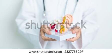 Doctor with human Ear anatomy model. Ear disease, Atresia, Otitis Media, Pertorated Eardrum, Meniere syndrome, otolaryngologist, Ageing Hearing Loss, Schwannoma and Health