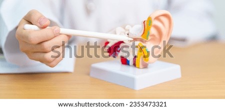 Doctor with human Ear anatomy model. Ear disease, Atresia, Otitis Media, Pertorated Eardrum, Meniere syndrome, otolaryngologist, Ageing Hearing Loss, Schwannoma and Health