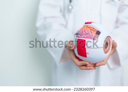 Doctor with human Eye anatomy model with magnifying glass. Eye disease, Refractive Errors, Age Related Macular Degeneration, Cataract, Diabetic Retinopathy, Glaucoma, Amblyopia, Strabismus and Health