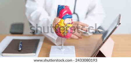 Doctor with human Heart anatomy model and tablet. Cardiovascular Diseases, Atherosclerosis, Hypertensive Heart, Valvular Heart, Aortopulmonary window, world Heart day and health concept