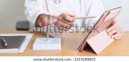 Doctor with human Liver model and tablet. Liver cancer and Tumor, Jaundice, Viral Hepatitis A, B, C, D, E, Cirrhosis, Failure, Enlarged, Hepatic Encephalopathy, Ascites Fluid in Belly and health