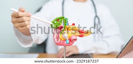 Doctor with human Pancreatitis anatomy model with Pancreas, Gallbladder, Bile Duct, Duodenum, Small intestine and tablet. Pancreatic cancer, acute pancreatitis and Digestive system Imagine de stoc © 