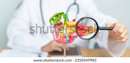 Doctor with human Pancreatitis anatomy model with Pancreas, Gallbladder, Bile Duct, Duodenum, Small intestine and magnifying glass. Pancreatic cancer, acute pancreatitis and Digestive system Imagine de stoc © 