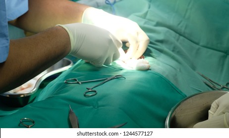 割礼の処置中に針とシリングで麻酔を注射する医師 の写真素材 今すぐ編集