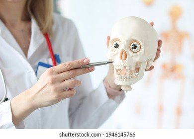 8,706 Skeleton In An Office Images, Stock Photos & Vectors 