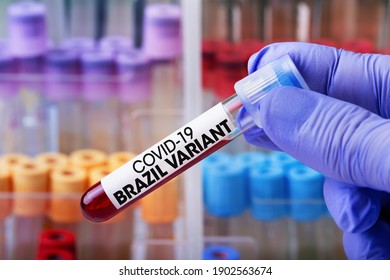 Doctor in the lab holding a tube of blood identified with the label Covid-19 Brazil Variant. Laboratory Technician with a blood sample with a new Brazilian variant of the Coronavirus