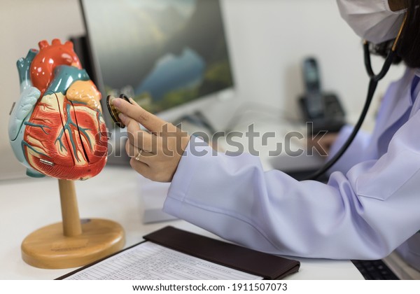 Doctor\
lecturer explaining the heart model. doctor with the stethoscope\
holding heart. Cardiologist wearing a medical coat with a\
stethoscope touching a heart anatomical\
model.