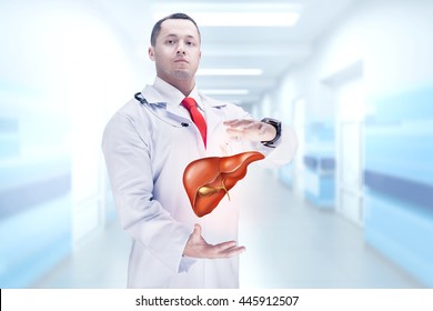 Doctor With Liver In Hands. High Resolution.