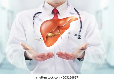 Doctor With Liver In Hands In A Hospital