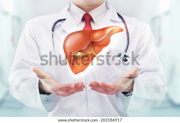 Doctor with liver in\
hands in a hospital