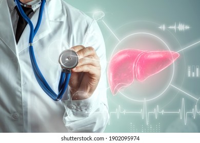 Doctor and Liver Hologram, liver pain and vital signs. Concept for technology, hepatitis treatment, donation, online diagnostics