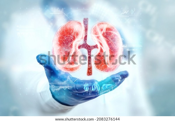 The\
doctor looks at the kidney hologram, checks the test result on the\
virtual interface and analyzes the data. Kidney disease, stones,\
innovative technologies, medicine of the\
future