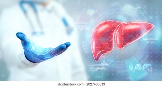 The doctor looks at the Liver hologram, checks the test result on the virtual interface, and analyzes the data. Liver disease, donation, innovative technologies, medicine of the future.