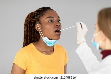 Doctor Making Oral Coronavirus PCR Test For Black Female Patient On Grey Background. African American Woman Making Covid DNA Analysis. Infectious Disease Protection And Diagnosis