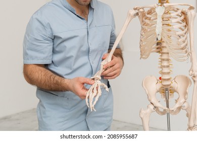 Doctor Man Pointing On Arm Of Human Skeleton Anatomical Model. Physiotherapist Explaining Joints Model. Chiropractor Or Osteopath Points To The Skeleton Of Human Body. Bones Anatomy Close Up.