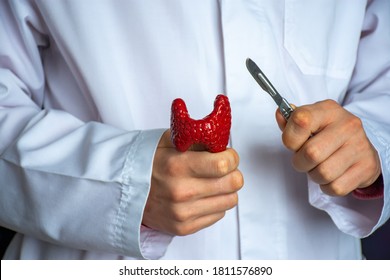 A doctor or medical professional, surgeon, endocrinologist holds a thyroid gland in one hand, and  scalpel in other. Concept photo of surgical treatment of thyroid diseases such as goiter, thyroiditis