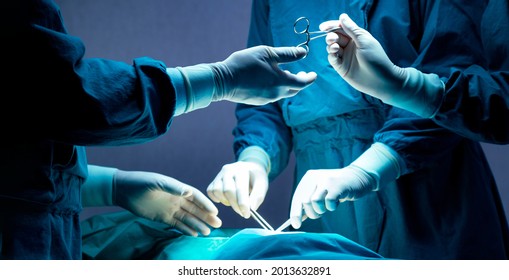 doctor and nurse medical team are performing surgical operation at emergency room in hospital. assistant hands out scissor and instruments to surgeons during operation.