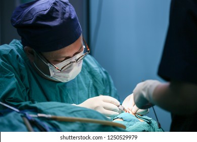 Doctor Operation Of Plastic Surgery On The Nose In The Operating Room