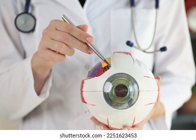 Doctor ophthalmologist holding human eye anatomical model and pointing by pen. Medical clinic, knowledge and research concept.
