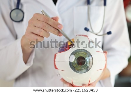 Doctor ophthalmologist holding human eye anatomical model and pointing by pen. Medical clinic, knowledge and research concept.