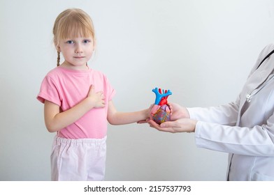 The Doctor A Pediatric Cardiologist Holds A Model Of A Human Heart In His Hands And Hands Over To A Little Girl 5 Years Old. Pediatric Cardiology Concept, Endocarditis