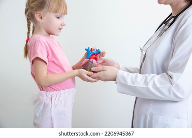 The Doctor A Pediatric Cardiologist Holds A Model Of A Human Heart In His Hands And Hands Over To A Little Girl 5 Years Old. Pediatric Cardiology Concept, Endocarditis