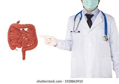 Doctor Point To Intestine Human , 3D Concept	