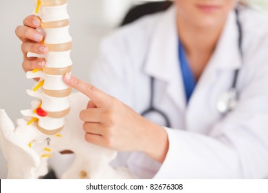 A Doctor Is Pointing At A Bone In A Spine