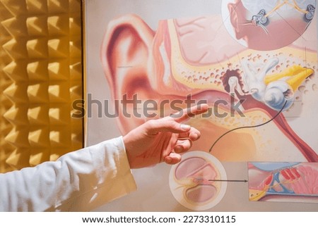 Doctor pointing to the image of a human ear anatomy