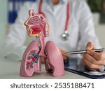 Doctor points out lung anatomy for diseases. Lung cancer, asthma, chronic obstructive pulmonary disease or COPD, bronchitis, emphysema, cystic fibrosis, bronchiectasis, pneumonia