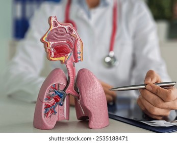 Doctor points out lung anatomy for diseases. Lung cancer, asthma, chronic obstructive pulmonary disease or COPD, bronchitis, emphysema, cystic fibrosis, bronchiectasis, pneumonia