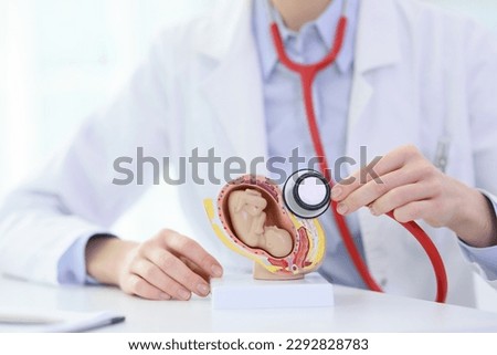 Doctor puts stethoscope to artificial model of womb with fetus on table in clinic. Specialist in uniform demonstrates process of childbirth at lecture