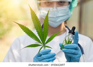 279,807 Cannabis For Medicine Images, Stock Photos & Vectors | Shutterstock