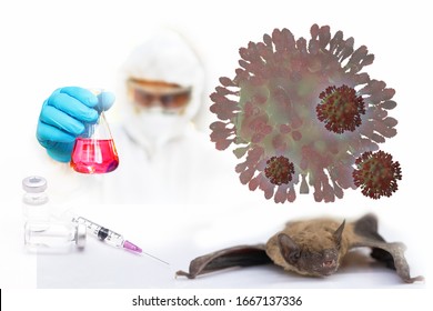 Doctor Or Scientist In Laboratory Holding  Over Strain Of Coronavirus SAR-COV And Bat As Carriers Of Disease ,Concept For Health Or Medical Background ,lung Disease,corona 2019,selective Focus