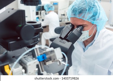 Doctor Or Scientist Looking Thru Microscope In Biotech Lab