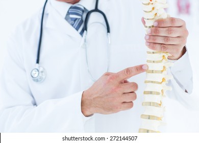 Doctor Showing Anatomical Spine In Clinic