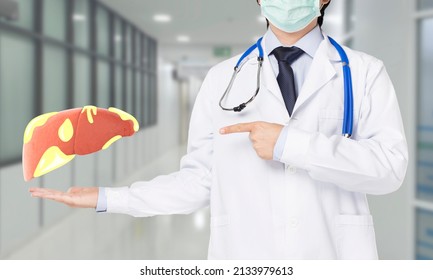 Doctor Showing Fatty Liver In Hospital , Liver Disease