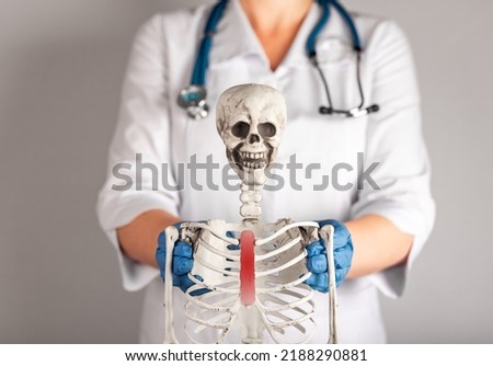 Doctor showing human skeleton with red sternum. Trauma, costochondritis, pneumonia consequences. Skeletal system anatomy, body structure, medical education concept. High quality photo