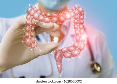 A Doctor Showing A Pill To Treat Gut . The Concept Of Treatment Of The Digestive System.