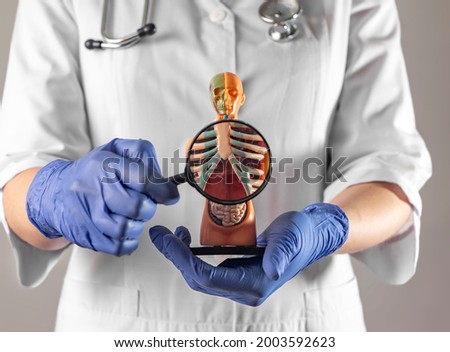 Doctor showing sternum ribs inside human body model. Medical anatomical concept. Ribcage structure.